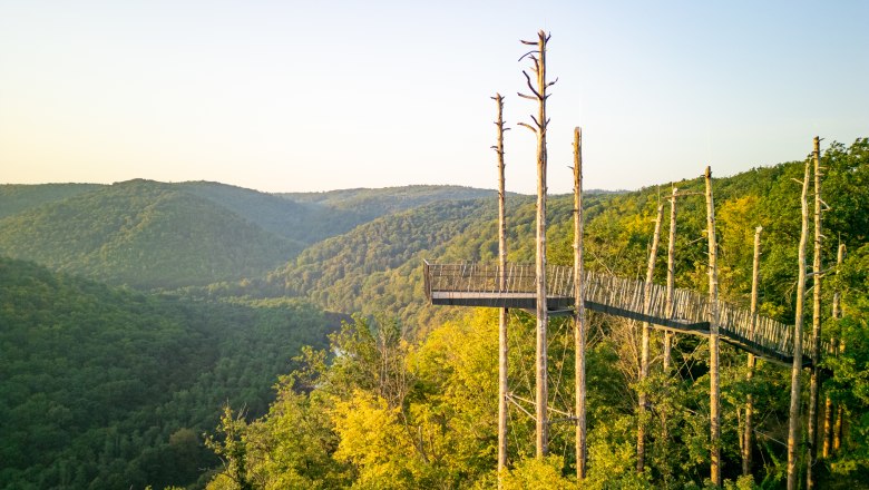 Aussichtswarte, © Andreas Haeusler Aussichtsplattform im Wald mit Blick auf bewaldete Hügel im Hintergrund.