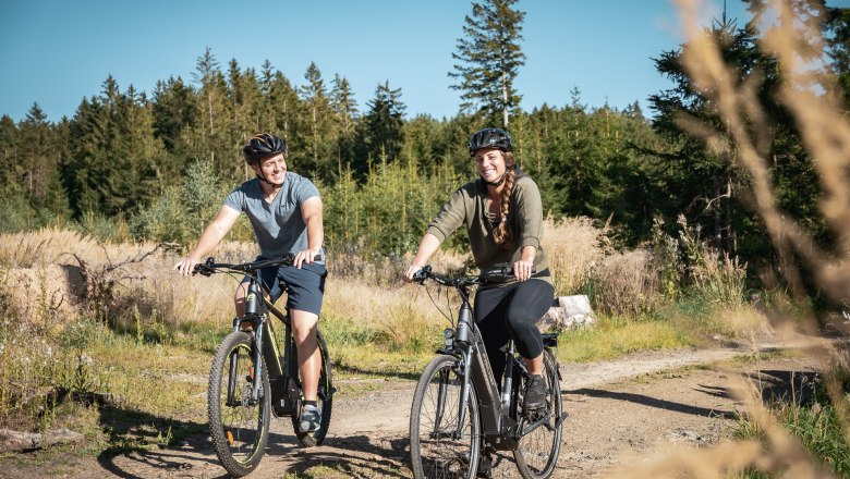 Waldweg, © Matthias Ledwinka Waldweg, © Matthias Ledwinka