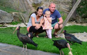 Waldrapp Voliere, © Waldrapp Voliere Waldrapp Voliere, © Waldrapp Voliere