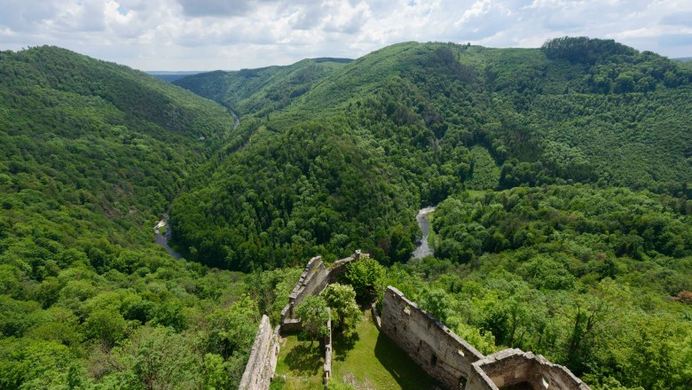 Kamptalwildnis, © Waldviertel Tourismus, Matthias Schickhofer Blick auf eine grüne, bewaldete Landschaft mit Fluss und Burgruine im Vordergrund.