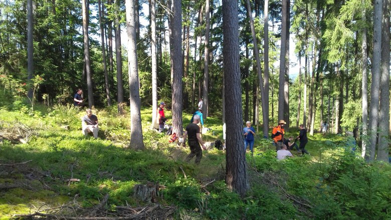 Forest education Waldviertel, © Waldpädagogik Waldviertel/Roswitha Haghofer Group of people in a forest in daylight.