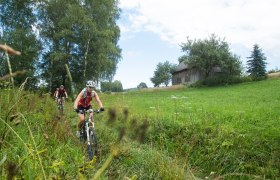 MTB Waldviertel, © © Waldviertel Tourismus, Erwin Haiden, nyx.at MTB Waldviertel, © © Waldviertel Tourismus, Erwin Haiden, nyx.at