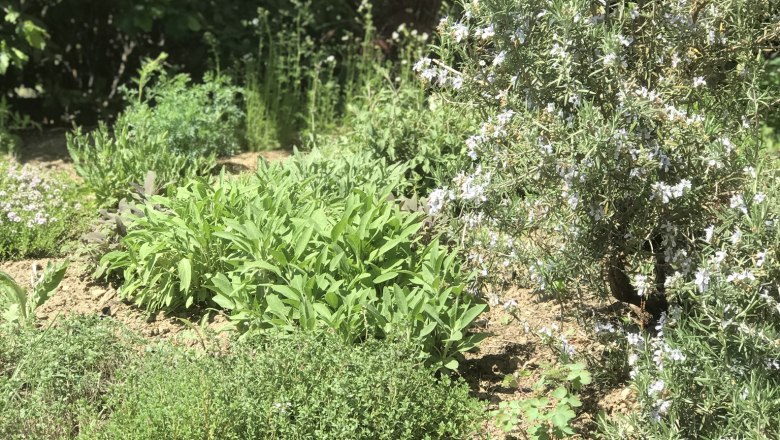 GARDEN, © Lukas Hochrieder GARDEN, © Lukas Hochrieder