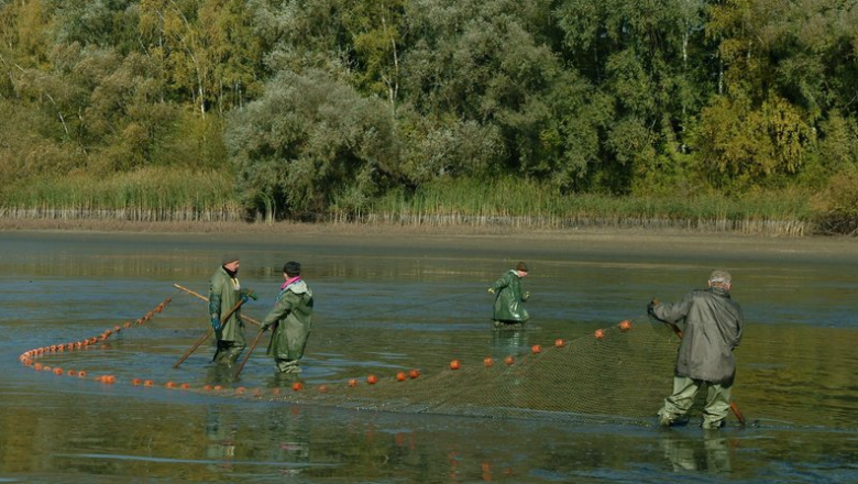 Fürstenberg Fisch, © Florian Kainz/Archiv Aqua Fürstenberg Fisch, © Florian Kainz/Archiv Aqua