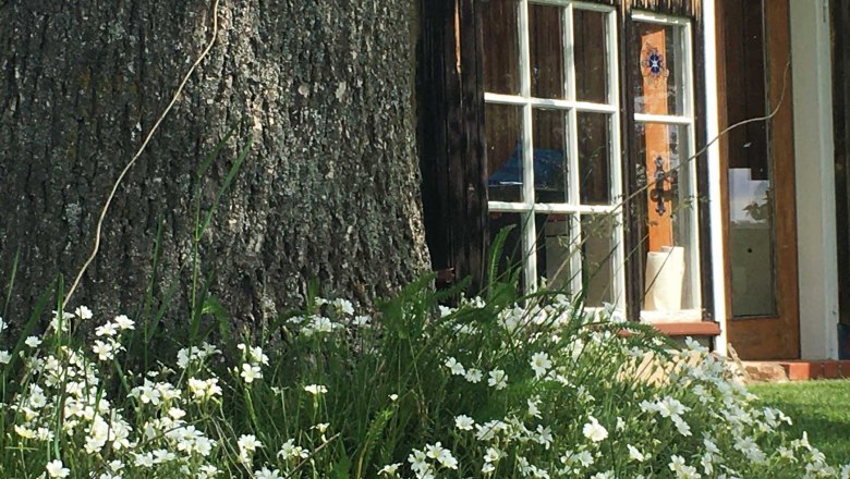 Glashaus Eingangsseite, © Peter Brezina Glashaus Eingangsseite, © Peter Brezina