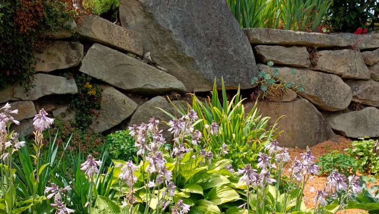 Garten der 100 Rosen_ B.Scherzer, © Garten der 100 Rosen, B.Scherzer Steinmauer mit grünen Pflanzen und lila Blüten im Vordergrund.