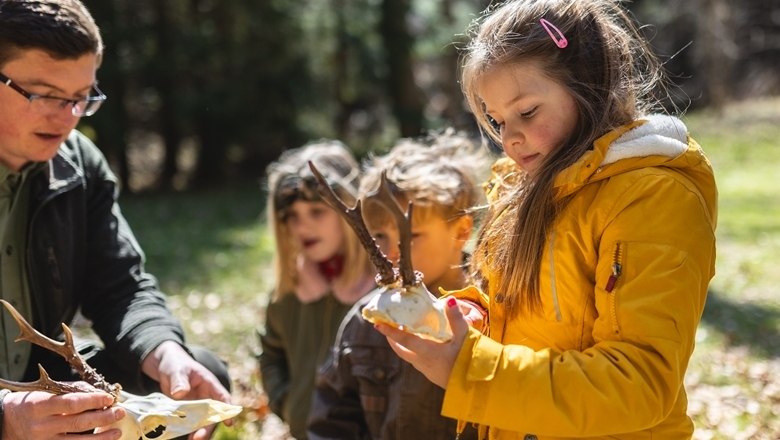Jagderklaerungen, © Wunderwelt Wald, Fotograf Benjamin Wald Jagderklaerungen, © Wunderwelt Wald, Fotograf Benjamin Wald