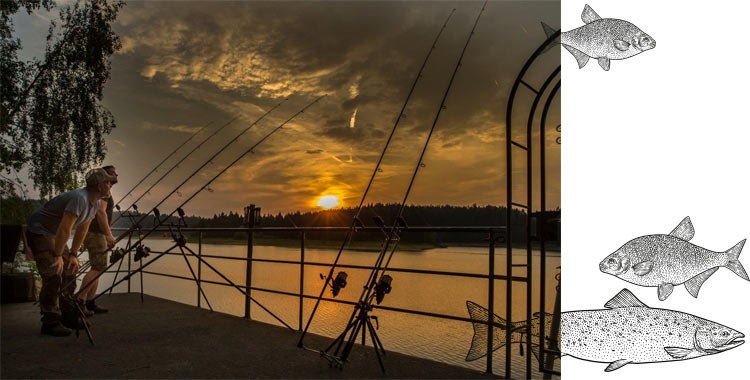 stauseefischen, © Gut Ottenstein stauseefischen, © Gut Ottenstein