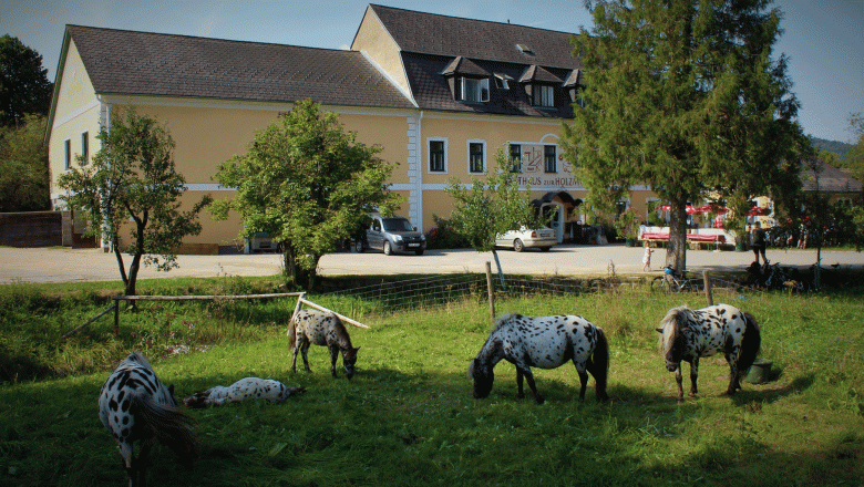 Gasthaus & Ponyhof Holzmühle, © Birgit Taxböck Gasthaus & Ponyhof Holzmühle, © Birgit Taxböck