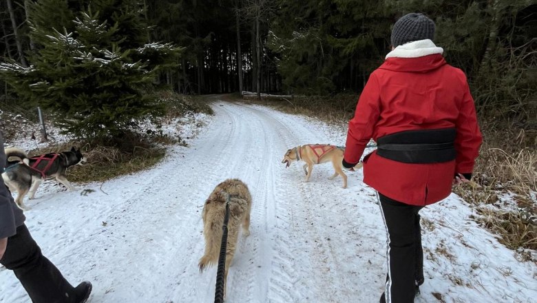 Huskyhike - Teamspirit & Natur, © Huskystadl Huskyhike - Teamspirit & Natur, © Huskystadl