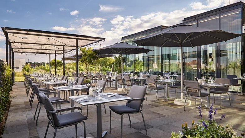 LOISIUM - Restaurant Vineyard, © LOISIUM LOISIUM - Restaurant Vineyard, © LOISIUM