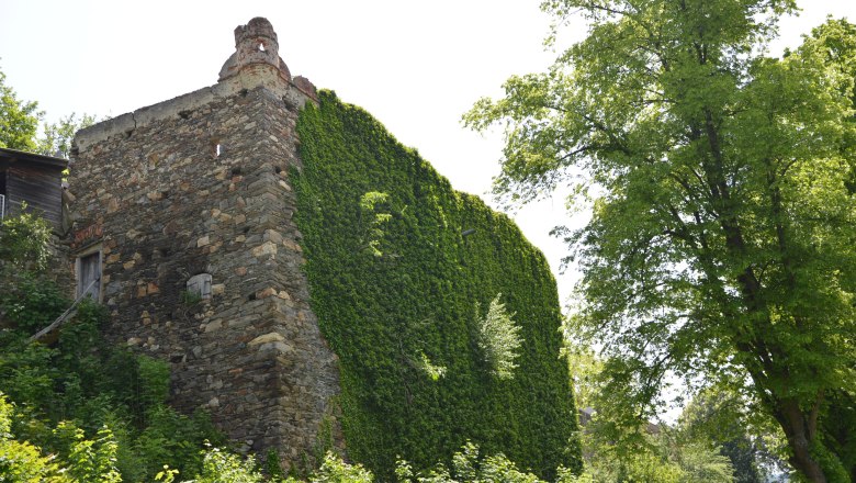 Stadtmauer Zwettl, © Stadtgemeinde Zwettl Stadtmauer Zwettl, © Stadtgemeinde Zwettl