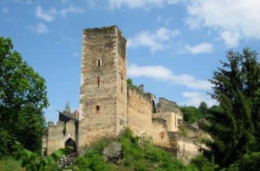 Kaja Ruin, © Burgruine Kaja Kaja Ruin, © Burgruine Kaja