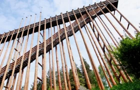 Hochmoor Schrems, © WeinFranz Hochmoor Schrems, © WeinFranz