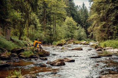 Auf Hundertwassers Spuren, © CreativeJungle Auf Hundertwassers Spuren, © CreativeJungle