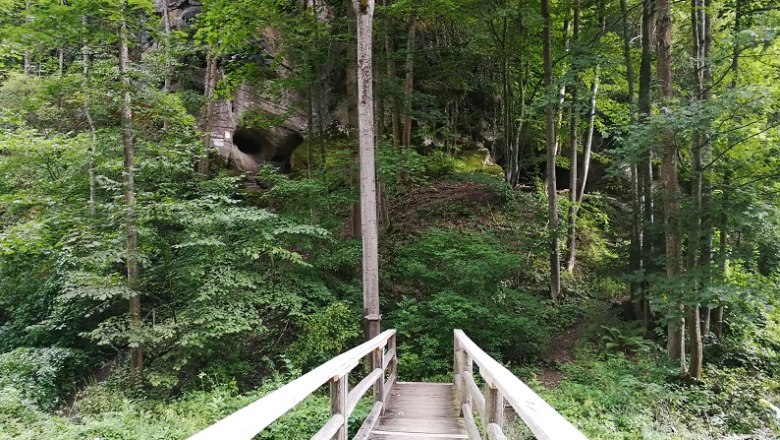 Zugang Gudenushoehle, © Roman Zöchlinger Holzbrücke führt durch einen Wald zur Gudenushoehle.