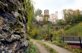 Lebensweg, Burg Hartenstein, Kremstal, Wandern,, © C) Lebensweg, Studio Kerschbaum.jpg Ein malerischer Wanderweg führt durch die üppige Natur, umgeben von bunten Herbstblättern und sanften Hügeln. Die majestätische Burg Hartenstein thront im Hintergrund und verleiht der Szenerie einen Hauch von Geschichte und Romantik. Ein perfekter Ort für Naturliebhaber und Geschichtsinteressierte, die die Schönheit der Landschaft genießen möchten.