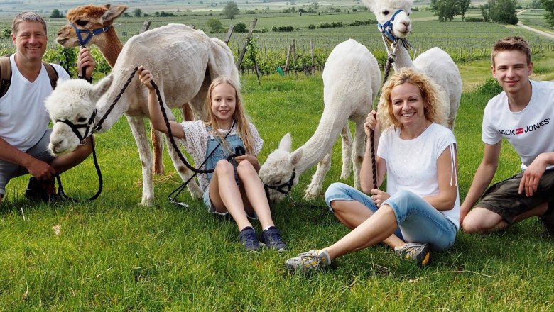 Kamp Valley ("Kamptal" in German) alpacas, © Kamptal Alpakas, Herr Popp Kamp Valley ("Kamptal" in German) alpacas, © Kamptal Alpakas, Herr Popp