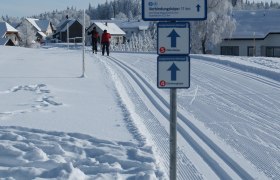 Langlaufen in Bärnkopf, © Waldviertel Tourismus Langlaufen in Bärnkopf, © Waldviertel Tourismus