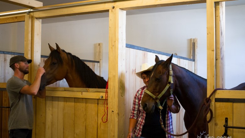 Gastboxen, © Els-kwatawa Ranch Gastboxen, © Els-kwatawa Ranch