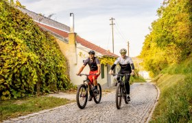 Veltliner-Runde, © POV Veltliner-Runde, © POV