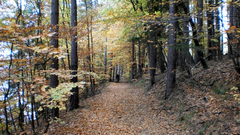 Neuhaus Tour, © Verein Fun & Bike Neuhaus Tour, © Verein Fun & Bike