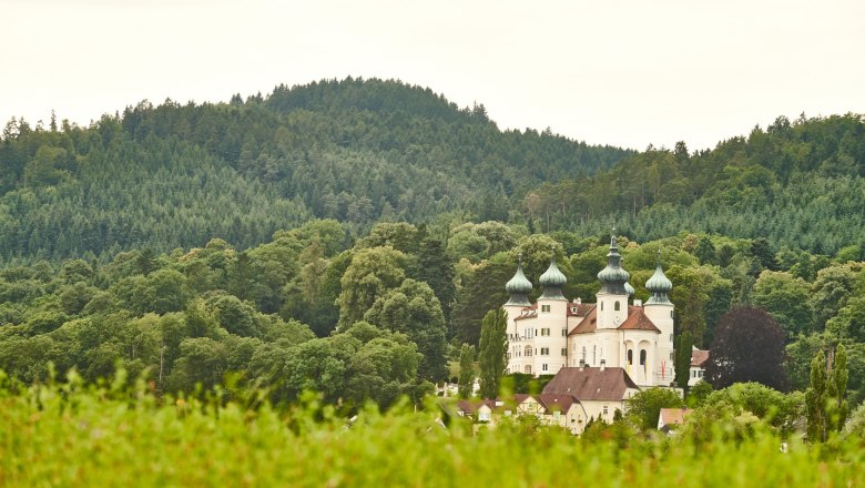 Schloss Artstetten, © Klaus Engelmayer Sicht auf Schloss Artstetten umgeben von Wäldern