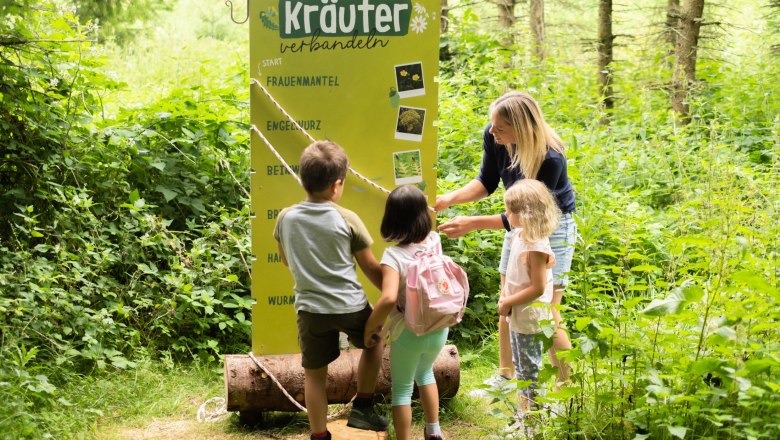 Wald-Reich, © SONNENTOR Wald-Reich, © SONNENTOR