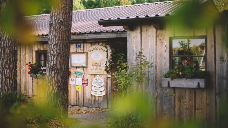 Wunderschönes Holzhaus am Waldrand, © Niederösterreich Werbung/Mara Hohla Holzhaus mit Blumenkasten und Schildern an der Tür, umgeben von Bäumen.