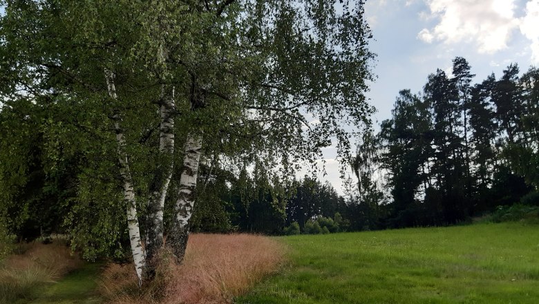 Umgebung, © Ferienhaus Leopold Umgebung, © Ferienhaus Leopold