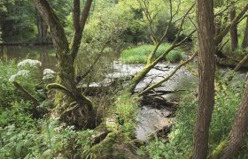 Thayatalweg, © Nationalpark Thayatal / Manhart Thayatalweg, © Nationalpark Thayatal / Manhart