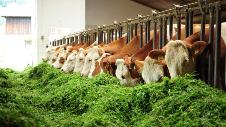 Stable, © Biobauernhof Dangl, Robert Herbst Stable, © Biobauernhof Dangl, Robert Herbst