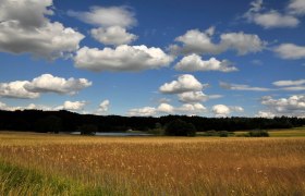 Foto: Archiv Waldviertel Tourismus, © Waldviertel Tourismus Foto: Archiv Waldviertel Tourismus, © Waldviertel Tourismus