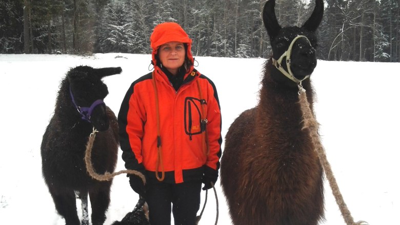 Lamawanderung, © Kleindienst Lamawanderung, © Kleindienst