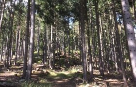Nebelsteinweg (von Harmanschlag aus), © Marktgemeinde St. Martin Nebelsteinweg (von Harmanschlag aus), © Marktgemeinde St. Martin