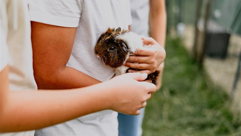 Biobauernhof Hipp-Bruckner, © Waldviertel Tourismus, Matthias Streibel Biobauernhof Hipp-Bruckner, © Waldviertel Tourismus, Matthias Streibel