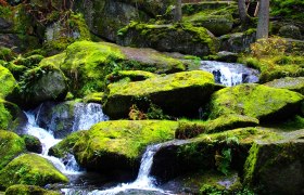 Lohnbachfall, © Waldviertel Tourismus Lohnbachfall, © Waldviertel Tourismus