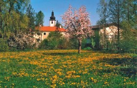 Dietmanns, © © Gemeinde Großdietmanns Dietmanns, © © Gemeinde Großdietmanns