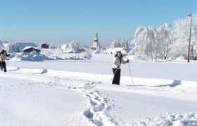 Langlaufen Ottenschlag © Gemeinde Ottenschlag, © Waldviertel Tourismus Langlaufen Ottenschlag © Gemeinde Ottenschlag, © Waldviertel Tourismus