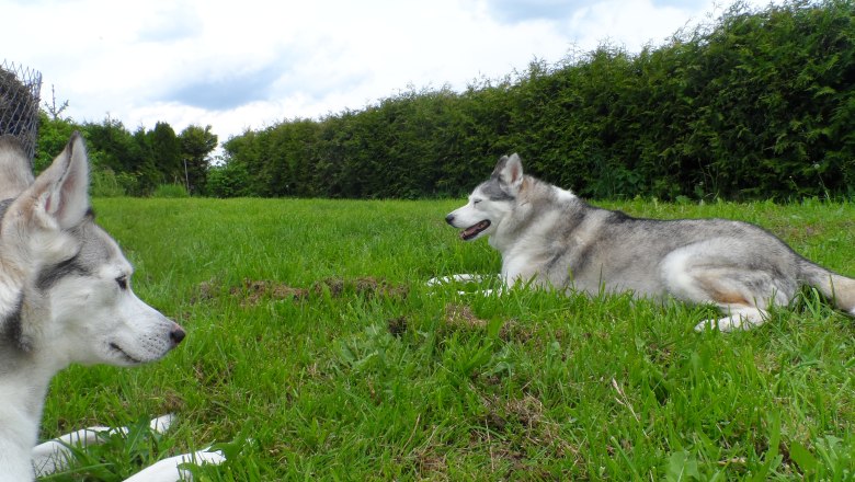 Garten, © Peter Schlager Garten, © Peter Schlager