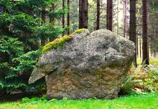 Stone, © Leander Kainz Stone, © Leander Kainz