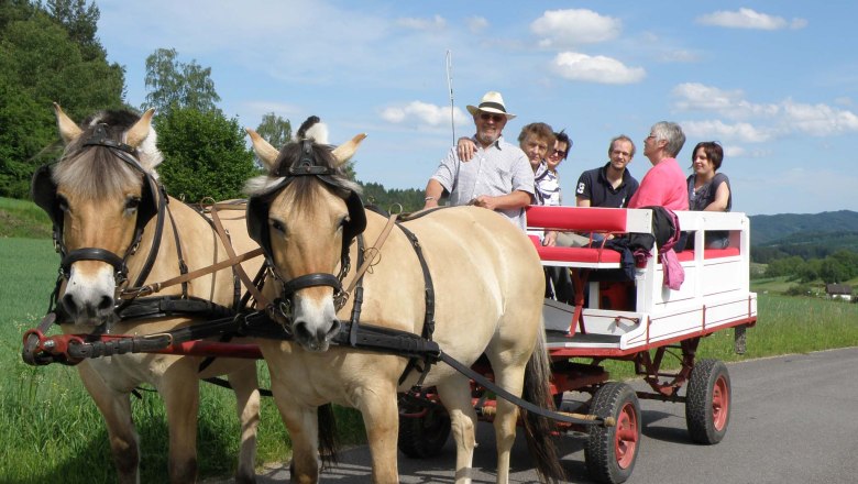 horse-drawn carriage ride, © Franz Prinz horse-drawn carriage ride, © Franz Prinz