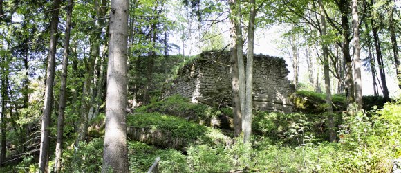 Ruine Weinsberger Wald, © Erwin van Dijk