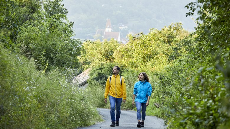 schonbergtourismus-wandernt1_img_0514_crupertpessl_web, © Rupert Pessl schonbergtourismus-wandernt1_img_0514_crupertpessl_web, © Rupert Pessl