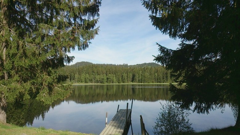 Stierhübelteich, © Manfred Grill Stierhübelteich, © Manfred Grill