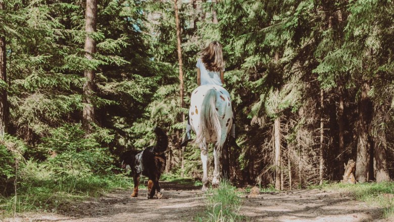 forest_1, © Biohof Pascher forest_1, © Biohof Pascher