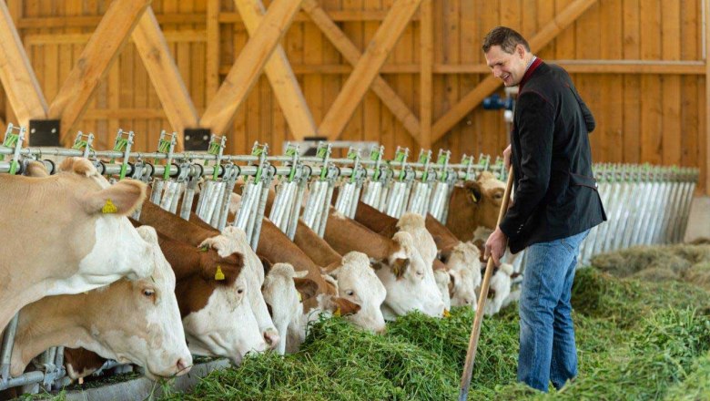 Biohof Hammerschmidt, © Netzwerk Kulinarik/Martina Siebenhandl Biohof Hammerschmidt, © Netzwerk Kulinarik/Martina Siebenhandl