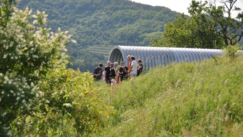 mondrohr-besucher-alte-schmiede, © Alte Schmiede mondrohr-besucher-alte-schmiede, © Alte Schmiede