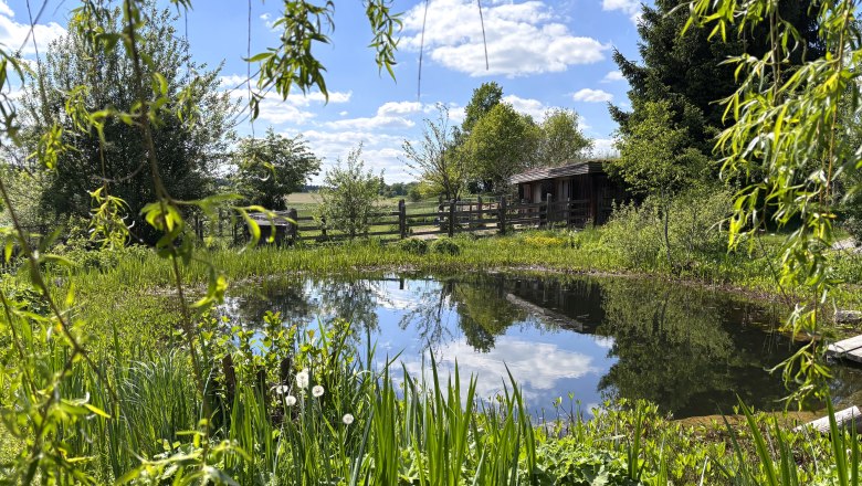 Gittis Gartenparadies, © "Natur im Garten" Ein idyllischer Garten mit Teich, umgeben von Bäumen und Pflanzen, unter blauem Himmel mit Wolken.