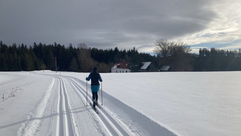 Auf der Waldhäuserloipe, © Dieter Juster Auf der Waldhäuserloipe, © Dieter Juster
